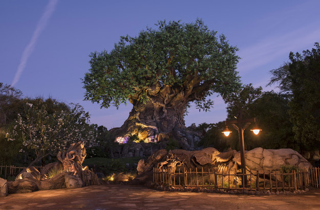 Animal Kingdom's new hours and attractions will debut on Earth Day this year, April 22.