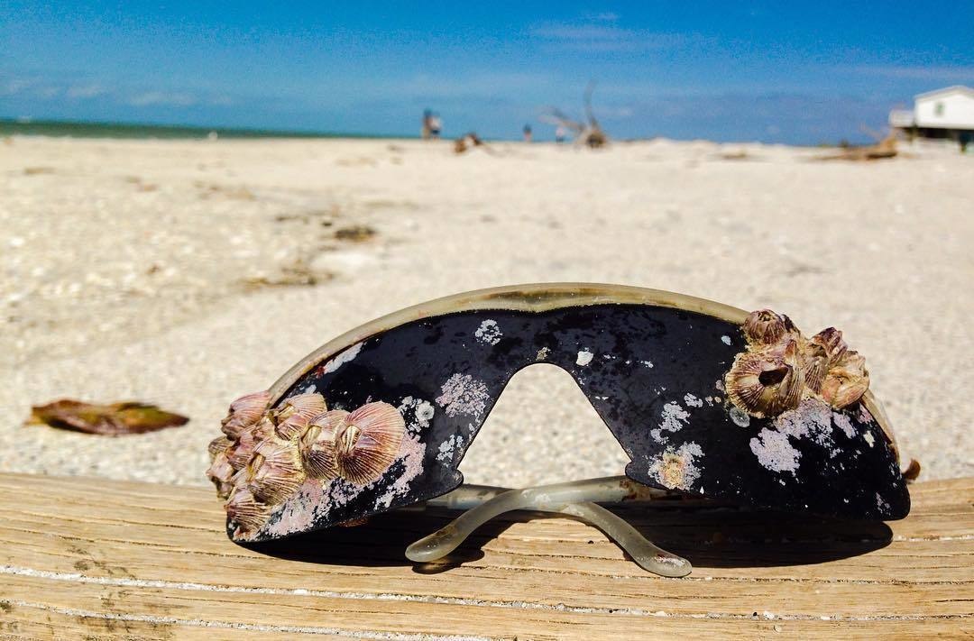 Shell shades in North Captiva Island, Florida.