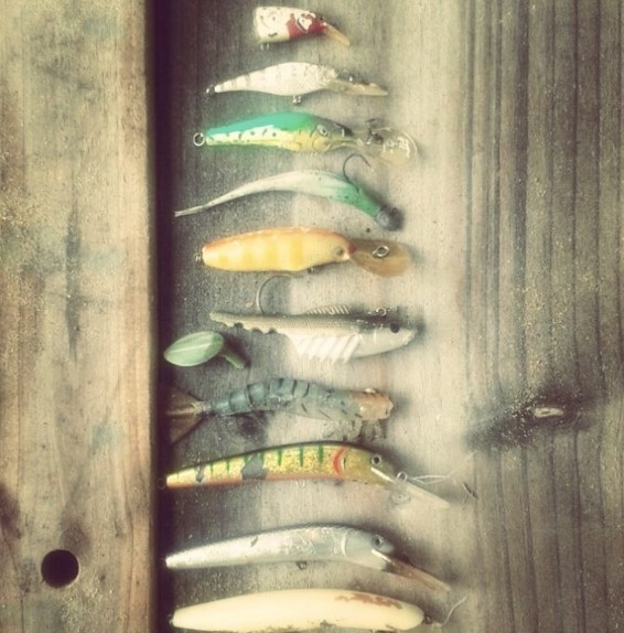 Someone has a collection of fishing lures.