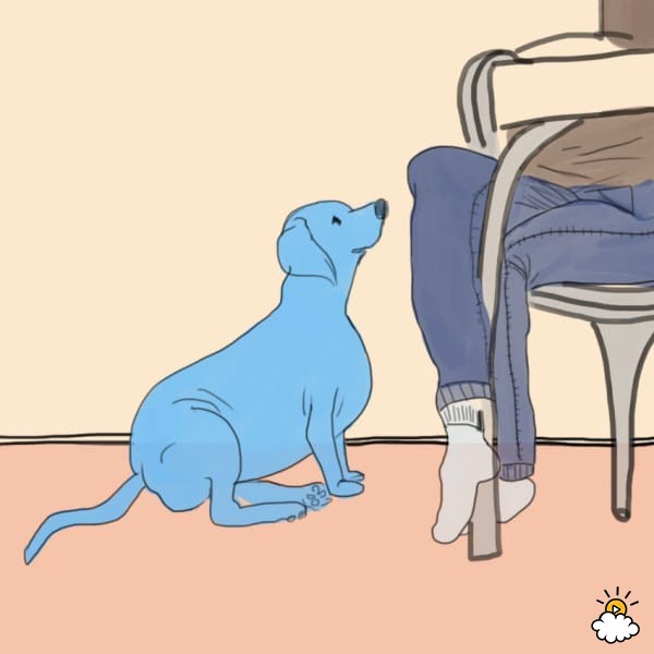 Strange dog behaviors