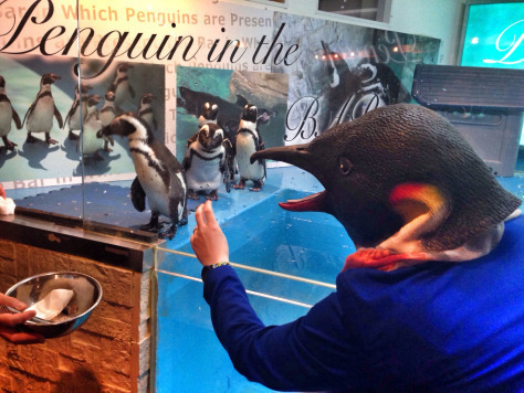You've heard of cat cafes, but have you ever heard of a Penguin Bar? Stop in Ikebukuro the next time you're in Japan to see these little guys as you sip on some whiskey.