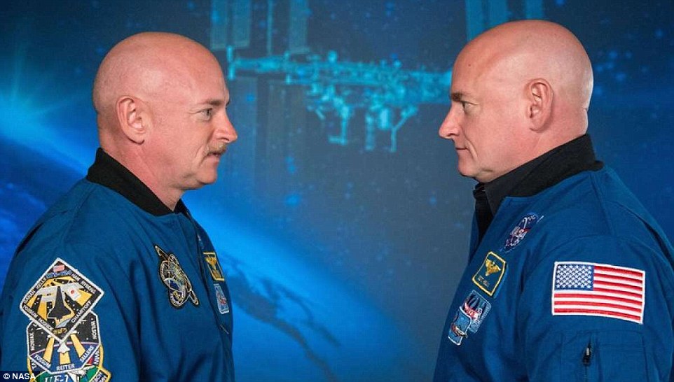 Nasa's stretched astronaut, Scott Kelly (right), has now shrunk back to normal size after gaining two inches in space. Mark Kelly (left), a former astronaut and Scott's identical twin, said he went back-to-back with his brother an hour after his return. At the time, Kelly had grown 1.5 inches taller after spending 340 days in space. This image was taken before the Kelly went into orbit