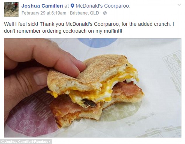 Joshua Camilleri says he purchased this McMuffin from McDonald's in Coorparoo, Brisbane and found the cockroach (pictured) inside it