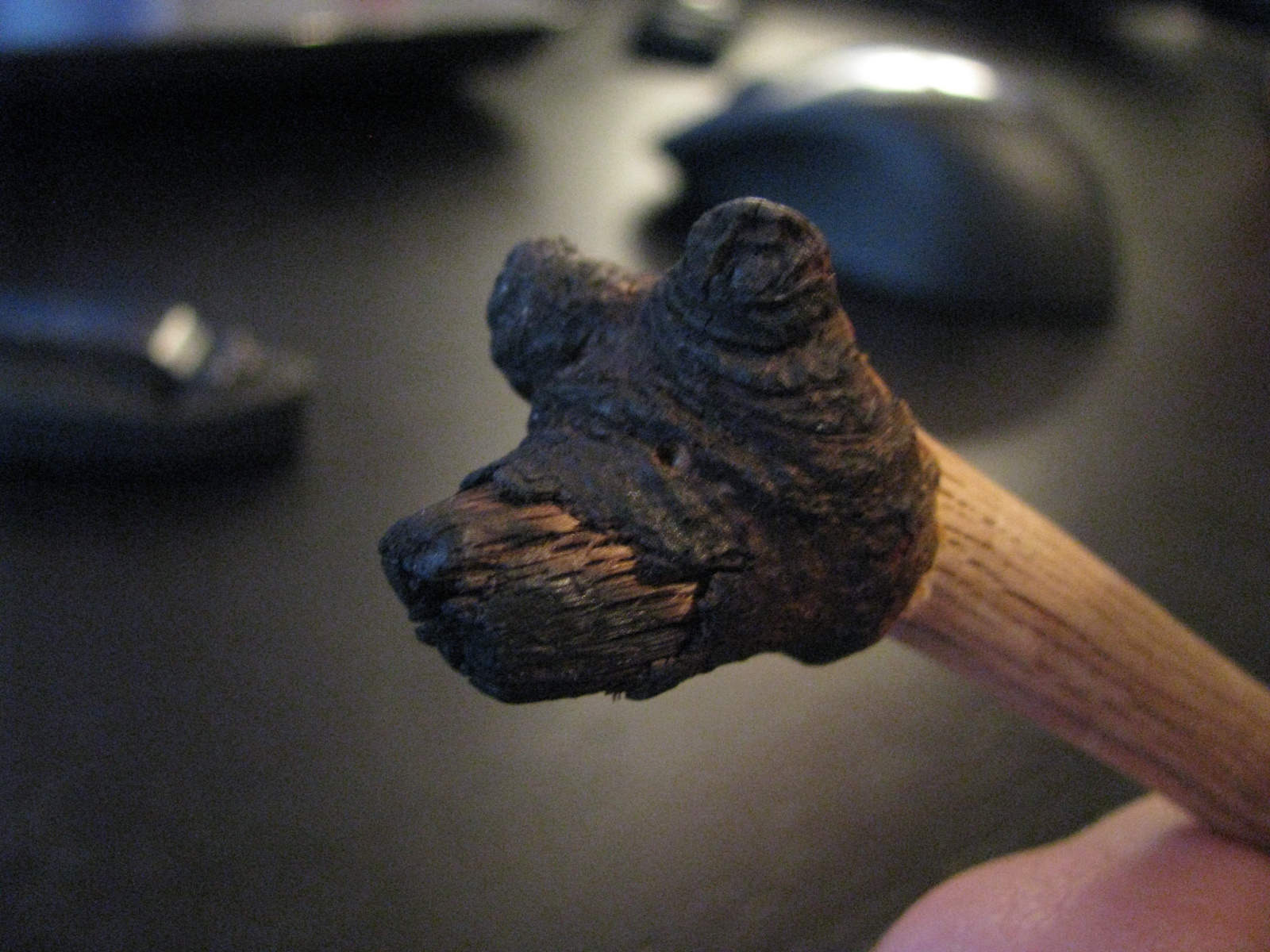 This burnt stick looks exactly like a black bear.