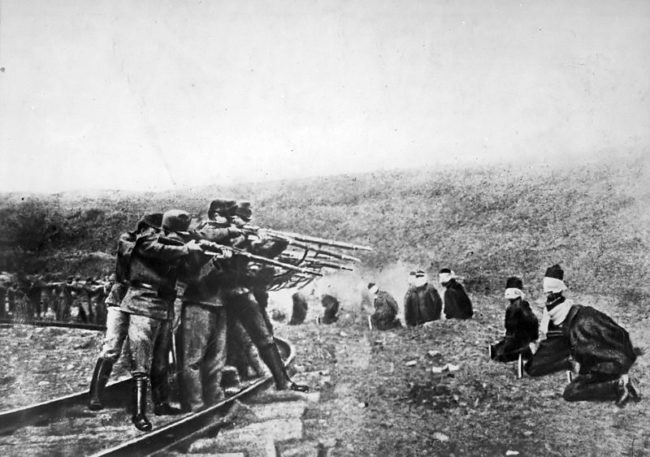 A Serbian terrorist group shot and killed Franz Ferdinand, which started the devastating struggle. Germany sided with the Austro-Hungarians, while France and Russia sided with Serbia.