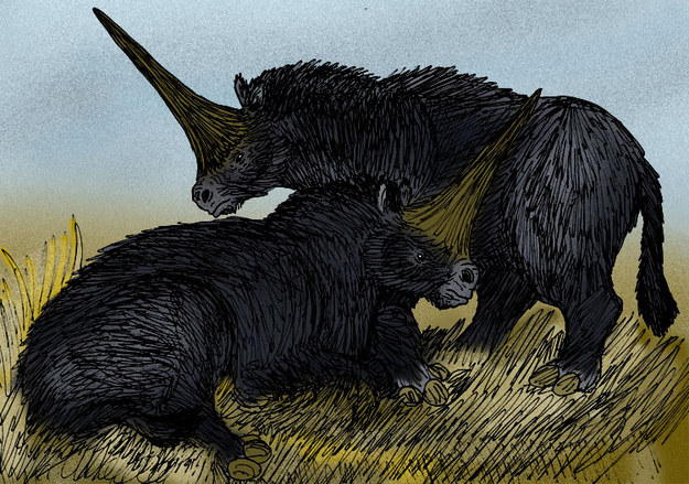 There's no evidence that the Siberian unicorn had magic powers, but it was clearly a powerful creature. It stood 6½ feet tall, was 15 feet long, and weighed 4 tons.