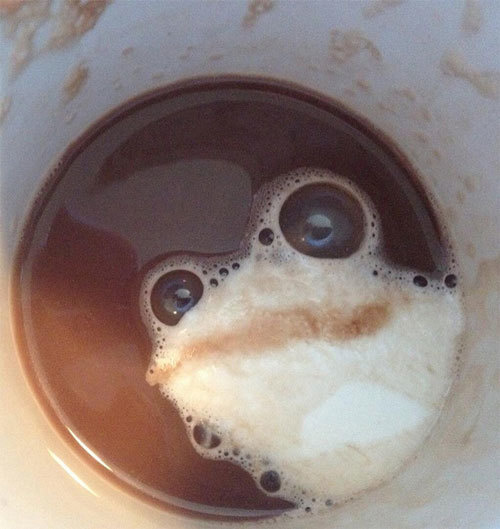 This hot chocolate looks like a frog