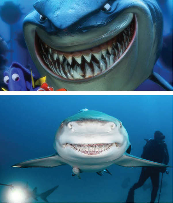 The shark from Finding Nemo. 