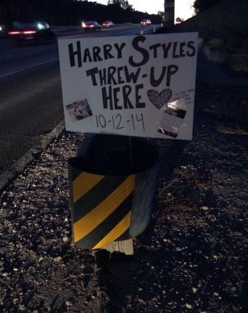 Kids today: Harry Styles threw-up here &lt;3