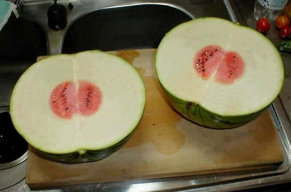 No watermelon should be this disappointing.