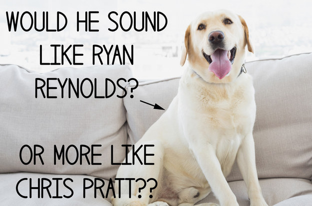Imagined what your dog's human voice would sound like.