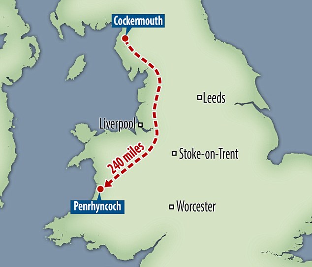 At the beginning of April, Pero went missing. Twelve days later Mr James was shocked when he opened the front door to find his missing sheepdog 200 miles away from where he was meant to be. Pictured: A map showing the distance Pero travelled to be back with his owner
