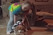 funny gif kids dressing dog falling17 Animals are the engine the powers the internet (38 Photos)