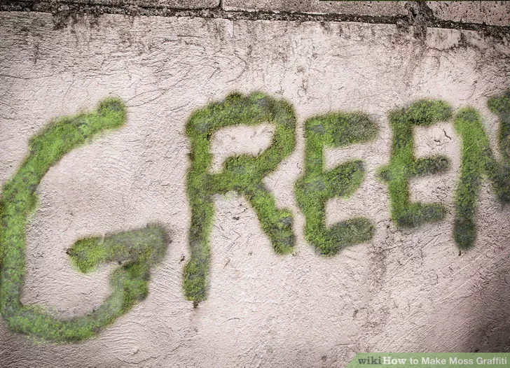 Image titled Make Moss Graffiti Step 8revised