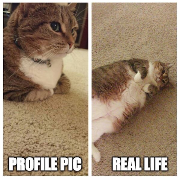 expectations versus reality 5 Lets be honest, expectations rarely match reality (40 Photos)