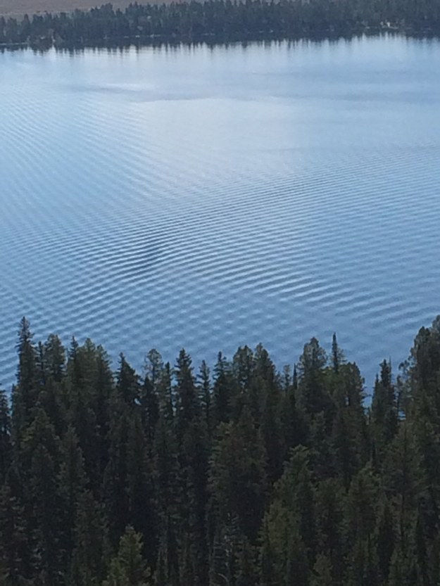 The pattern of ripples on this lake.