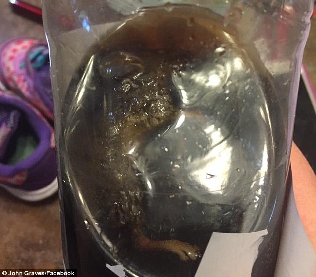 John Graves said his grandson drank 'half the bottle' before they discovered the rodent inside it