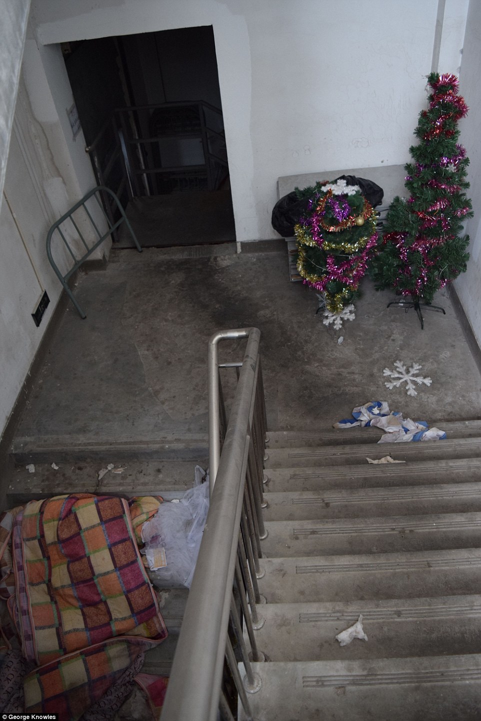 Rushed exit: Workers appear to have left the dorms in a hurry as possessions were abandoned throughout the building, and this deserted stairwell with its pathetic tree shows how workers tried to make their living quarters more homely 