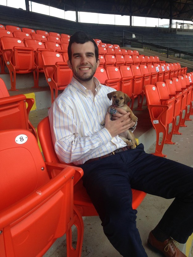 The team announced on Tuesday that the team president, Jared Orton, and his wife adopted the pup. They named her Daisy and said she will will work alongside the rest of the Bananas as its first "bat dog."