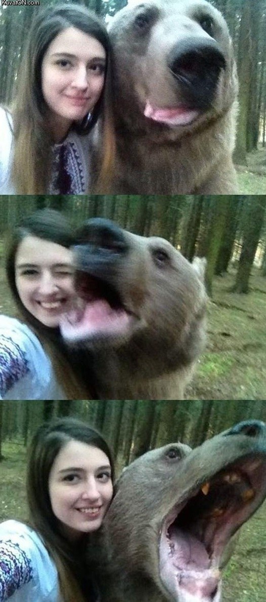 Selfies with a bear get the most likes. 