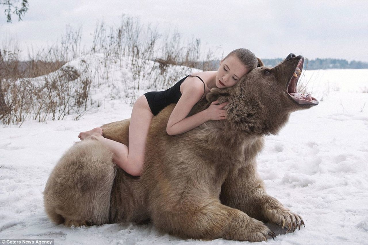 Bears must be really friendly in Russia. 