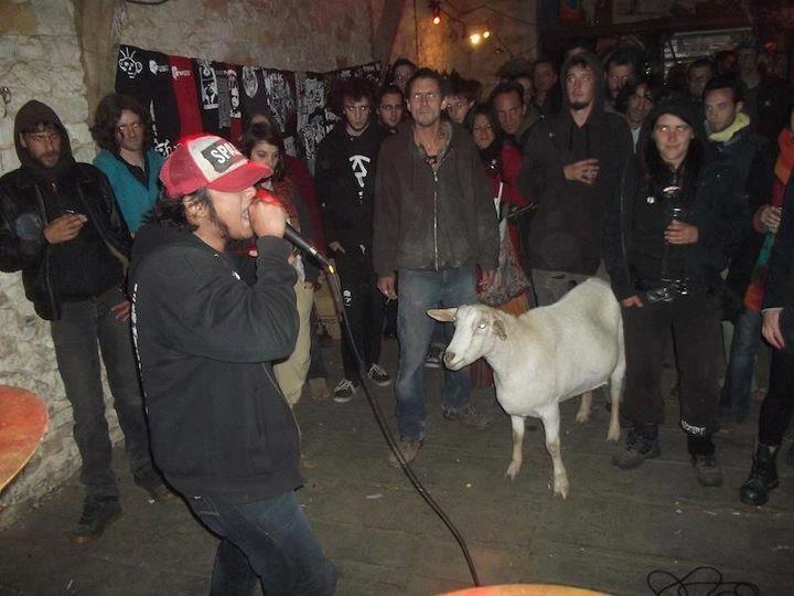 Because there is no party till the local goat shows up.