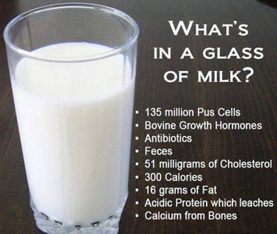 Pasteurization of milk actually makes things worse.