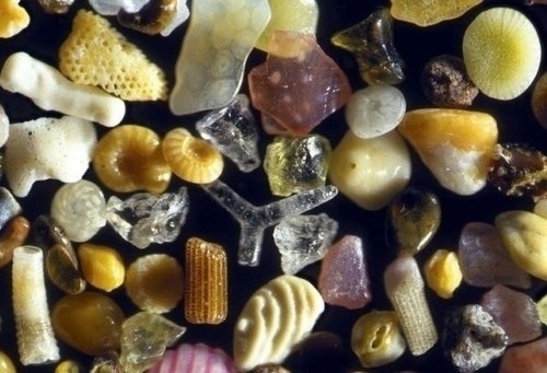 This is what sand looks like under a microscope.