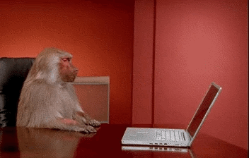 gifs 0519 Animals are the engine that drives the internet (37 Photos)