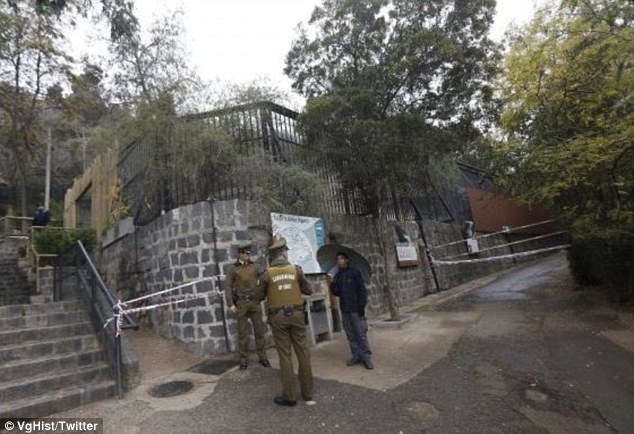 The entrances to the lion enclosures were closed off after the attack