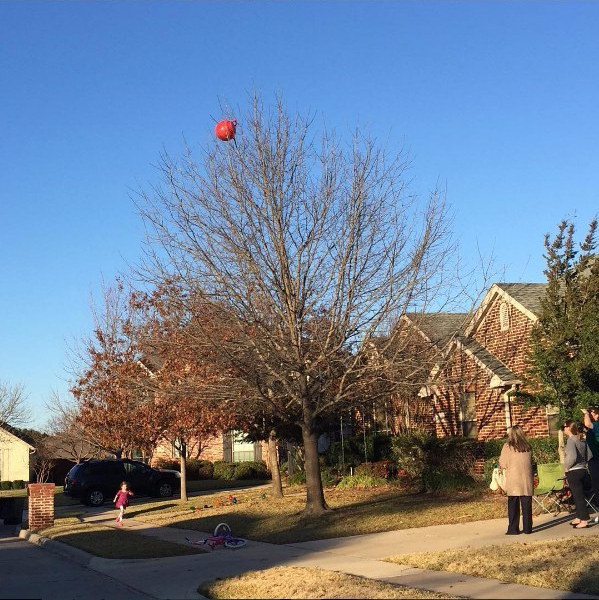 The dad who kicked his daughter's hippity hop ball into their neighbor's tree: