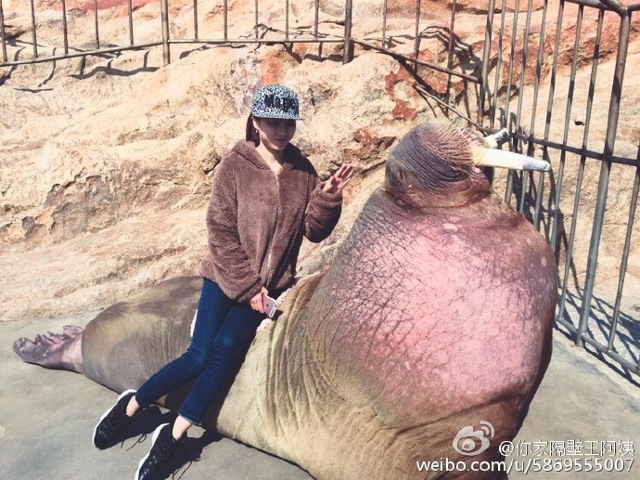 walrus_selfie7.jpg