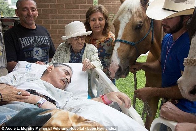 His wife said that even though he is unable to speak she could see the emotion on her husband's face when he saw the horses