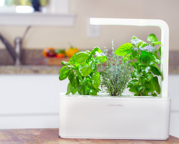 An indoor gardening system you can use even if you don't have a green thumb.