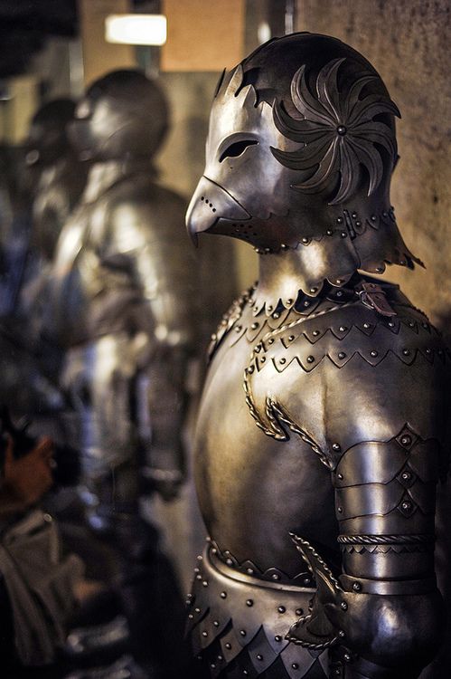 Bird suit of armor - Prague Castle
