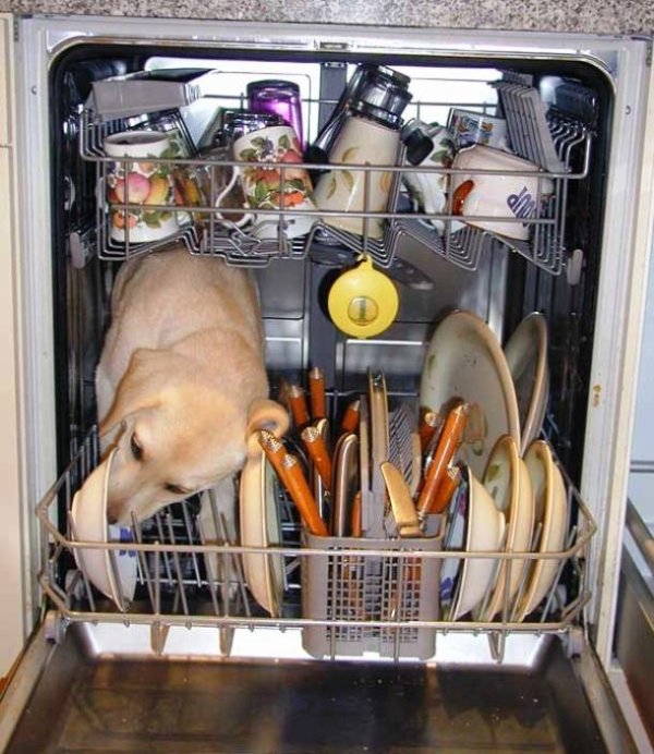 6-dishwasher-610x704