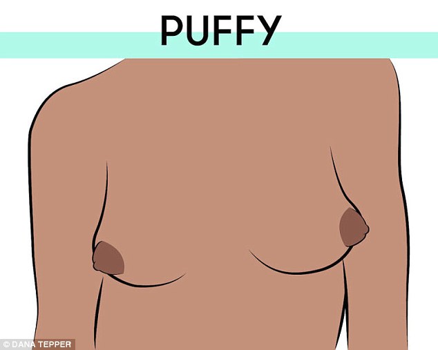 For a puffy nipple the entire areola is raised, like another mound on top of the breast