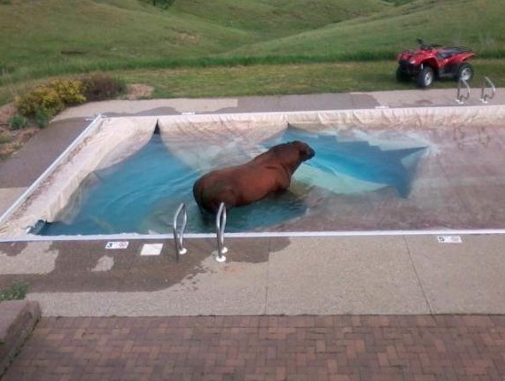 When  you see a bull in your swimming pool. 