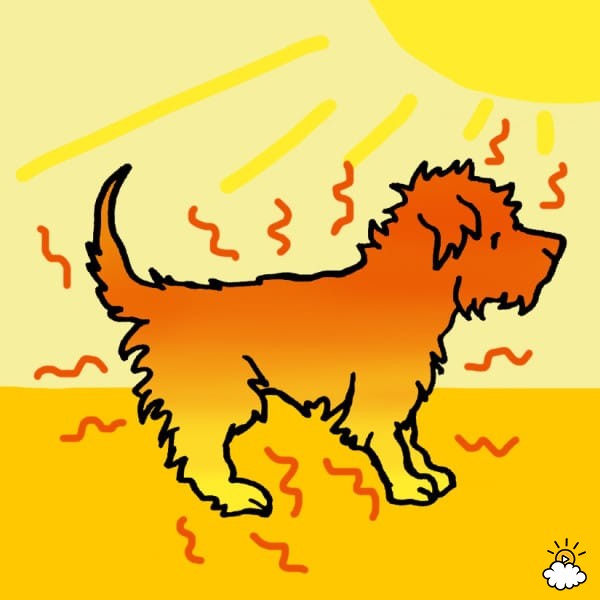 <u>What Is A Canine Heat Stroke?</u>
