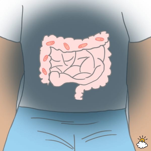 Benefit #6: It Indicates Healthy, Happy Gut Bacteria