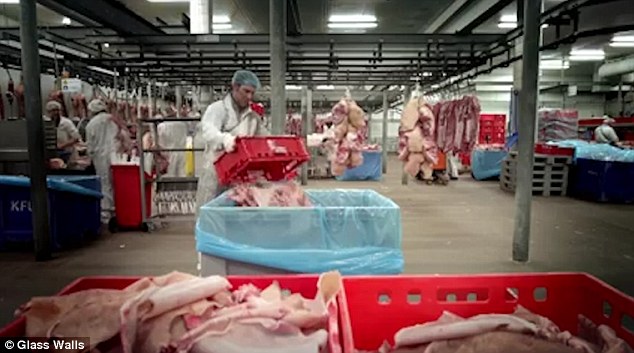 Impassioned debate has been struck up around the practice of making and consuming gelatin