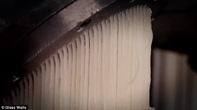 The skin is boiled down to create the fatty substance above, which eventually becomes gelatin