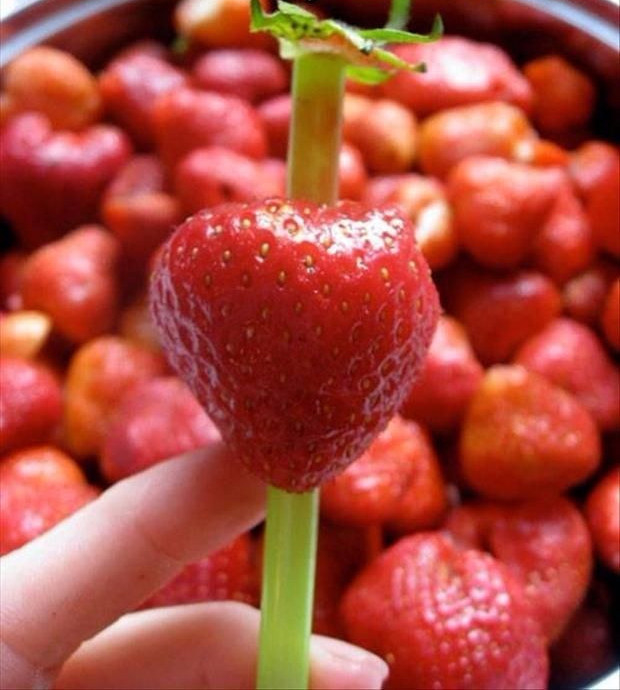Use a straw to easily remove the stem from a strawberry.