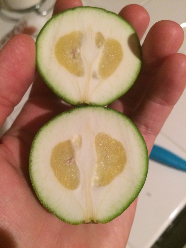 This really messed-up lime.