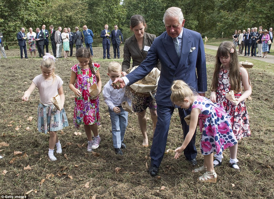 Getting involved: Prince Charles sows the the Queen's Meadow with  children as part of his Coronation Meadows project