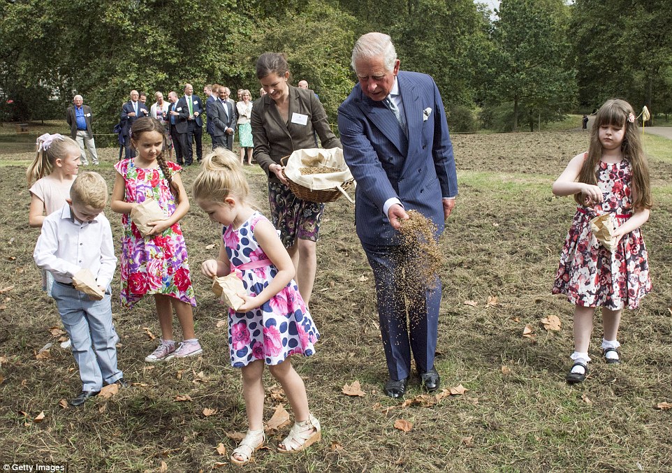 Sowing the seeds: The Prince of Wales founded the Coronation Meadows project to mark 60 years since she was crowned