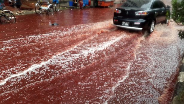 road turned red after blood from sacrificial animals mixed with water from heavy rainfall in Dhaka
