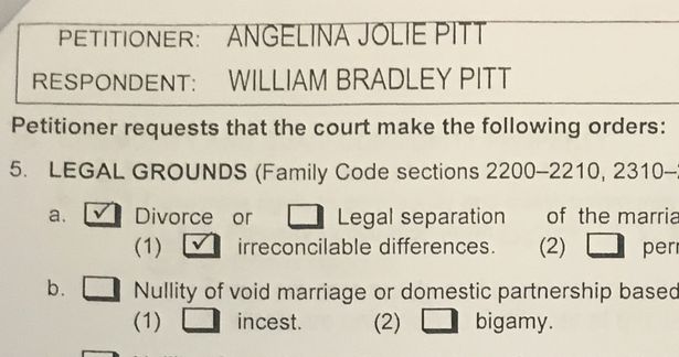 A copy of papers filed at Los Angeles Superior Court by Angelina Jolie shows her petition for divorce from her husband Brad Pitt