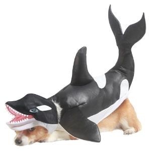 Killer Whale Dog Costume, $28: