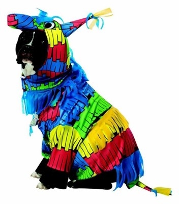 Piñata Halloween Costume for Dogs, $39.99